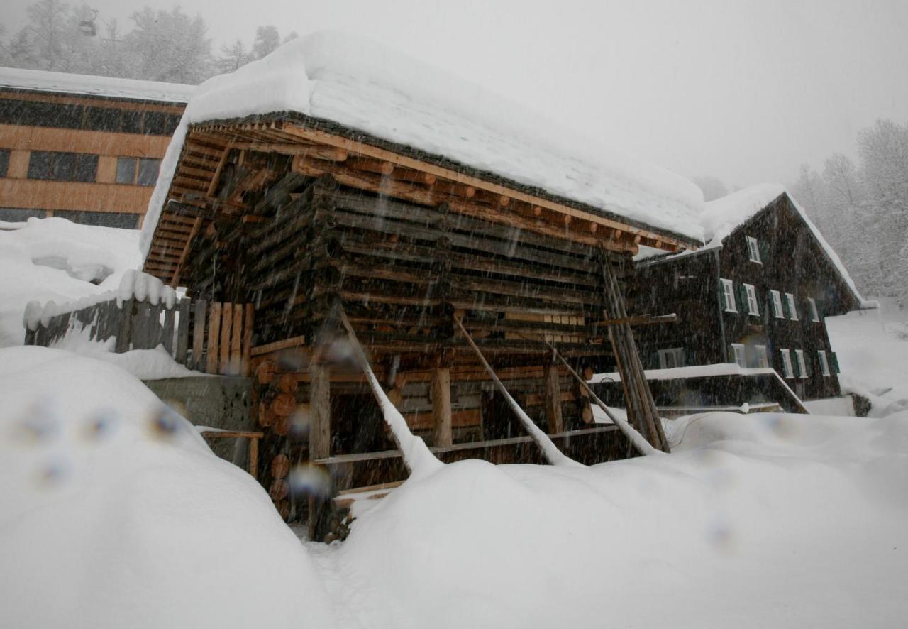 Bonawinkel Neu By Pferd Auf Wolke